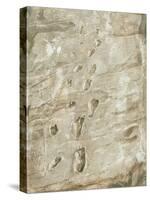 Laetoli Fossil Footprints-Kennis and Kennis-Stretched Canvas