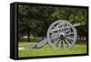 Lafayette Park Cannon Photo Print Poster-null-Framed Stretched Canvas