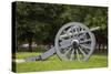 Lafayette Park Cannon Photo Print Poster-null-Stretched Canvas