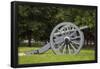Lafayette Park Cannon Photo Print Poster-null-Framed Poster