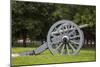 Lafayette Park Cannon Photo Print Poster-null-Mounted Poster