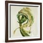 Laffy Taffy III-Farrell Douglass-Framed Giclee Print