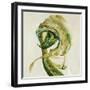 Laffy Taffy III-Farrell Douglass-Framed Giclee Print