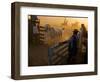 Lagen-Craig Satterlee-Framed Photographic Print