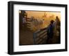 Lagen-Craig Satterlee-Framed Photographic Print