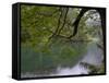 Lago Chico, Huerquehue National Park, Chile-Scott T. Smith-Framed Stretched Canvas