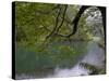 Lago Chico, Huerquehue National Park, Chile-Scott T. Smith-Stretched Canvas