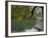 Lago Chico, Huerquehue National Park, Chile-Scott T. Smith-Framed Photographic Print