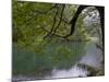 Lago Chico, Huerquehue National Park, Chile-Scott T. Smith-Mounted Photographic Print