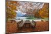 Lago De Predil, Province of Udine, Italy-phbcz-Mounted Photographic Print