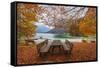 Lago De Predil, Province of Udine, Italy-phbcz-Framed Stretched Canvas