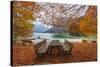 Lago De Predil, Province of Udine, Italy-phbcz-Stretched Canvas