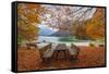 Lago De Predil, Province of Udine, Italy-phbcz-Framed Stretched Canvas