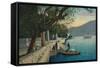 'Lago di Como. Entrata alla Villa Carlotta', c1888-Unknown-Framed Stretched Canvas