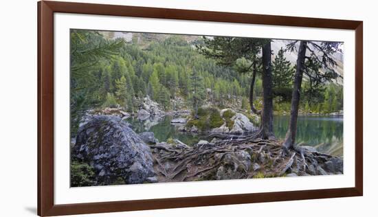 Lago di Saoseo, Grisons, Poschiavo, Switzerland-Michael Jaeschke-Framed Photographic Print