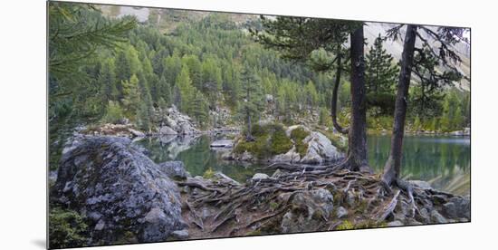 Lago di Saoseo, Grisons, Poschiavo, Switzerland-Michael Jaeschke-Mounted Photographic Print