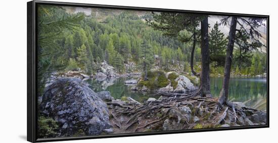 Lago di Saoseo, Grisons, Poschiavo, Switzerland-Michael Jaeschke-Framed Photographic Print