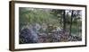 Lago di Saoseo, Grisons, Poschiavo, Switzerland-Michael Jaeschke-Framed Photographic Print