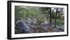 Lago di Saoseo, Grisons, Poschiavo, Switzerland-Michael Jaeschke-Framed Photographic Print