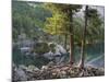 Lago di Saoseo, Grisons, Switzerland-Michael Jaeschke-Mounted Photographic Print