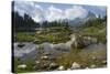 Lago Federa, Rifugio Palmieri, Croda da Lago, Dolomites, Italy-Michael Jaeschke-Stretched Canvas