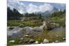 Lago Federa, Rifugio Palmieri, Croda da Lago, Dolomites, Italy-Michael Jaeschke-Mounted Photographic Print