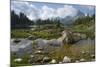 Lago Federa, Rifugio Palmieri, Croda da Lago, Dolomites, Italy-Michael Jaeschke-Mounted Photographic Print