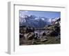 Lago (Lake) Del Loson, Gran Paradiso National Park, Near Val Nontey Valley, Valle d'Aosta, Italy-Duncan Maxwell-Framed Photographic Print