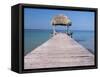 Lago Peten Itza, El Remate, Guatemala, Central America-Colin Brynn-Framed Stretched Canvas