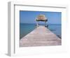 Lago Peten Itza, El Remate, Guatemala, Central America-Colin Brynn-Framed Photographic Print