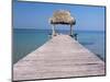 Lago Peten Itza, El Remate, Guatemala, Central America-Colin Brynn-Mounted Photographic Print