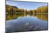 Lago San Pellegrino during fall at Passo San Pellegrino in the Dolomites, Italy.-Martin Zwick-Mounted Photographic Print