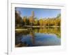 Lago San Pellegrino during fall at Passo San Pellegrino in the Dolomites, Italy.-Martin Zwick-Framed Photographic Print