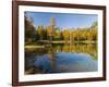 Lago San Pellegrino during fall at Passo San Pellegrino in the Dolomites, Italy.-Martin Zwick-Framed Photographic Print