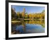 Lago San Pellegrino during fall at Passo San Pellegrino in the Dolomites, Italy.-Martin Zwick-Framed Photographic Print