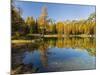 Lago San Pellegrino during fall at Passo San Pellegrino in the Dolomites, Italy.-Martin Zwick-Mounted Photographic Print