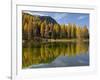 Lago San Pellegrino during fall at Passo San Pellegrino in the Dolomites. Italy.-Martin Zwick-Framed Photographic Print