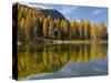 Lago San Pellegrino during fall at Passo San Pellegrino in the Dolomites. Italy.-Martin Zwick-Stretched Canvas