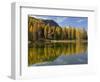 Lago San Pellegrino during fall at Passo San Pellegrino in the Dolomites. Italy.-Martin Zwick-Framed Photographic Print