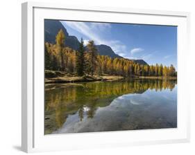 Lago San Pellegrino during fall at Passo San Pellegrino in the Dolomites, Italy.-Martin Zwick-Framed Photographic Print