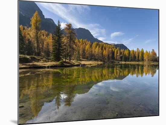 Lago San Pellegrino during fall at Passo San Pellegrino in the Dolomites, Italy.-Martin Zwick-Mounted Photographic Print