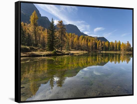 Lago San Pellegrino during fall at Passo San Pellegrino in the Dolomites, Italy.-Martin Zwick-Framed Stretched Canvas