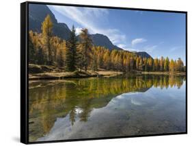 Lago San Pellegrino during fall at Passo San Pellegrino in the Dolomites, Italy.-Martin Zwick-Framed Stretched Canvas