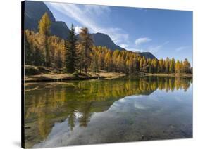 Lago San Pellegrino during fall at Passo San Pellegrino in the Dolomites, Italy.-Martin Zwick-Stretched Canvas