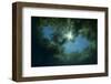 Lagoa Misteriosa at the bottom of a sink hole, Serra da Bodoquena, Mato Grosso do Sul, Brazil-Michel Roggo-Framed Photographic Print