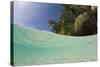 Lagoon and Palm-Lined Beach, Micronesia, Palau-Reinhard Dirscherl-Stretched Canvas