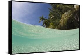 Lagoon and Palm-Lined Beach, Micronesia, Palau-Reinhard Dirscherl-Framed Stretched Canvas