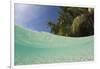 Lagoon and Palm-Lined Beach, Micronesia, Palau-Reinhard Dirscherl-Framed Photographic Print