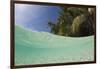 Lagoon and Palm-Lined Beach, Micronesia, Palau-Reinhard Dirscherl-Framed Photographic Print