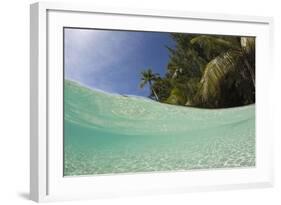 Lagoon and Palm-Lined Beach, Micronesia, Palau-Reinhard Dirscherl-Framed Photographic Print